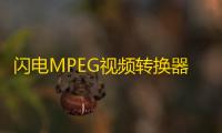 闪电MPEG视频转换器 13.9.0 官方版